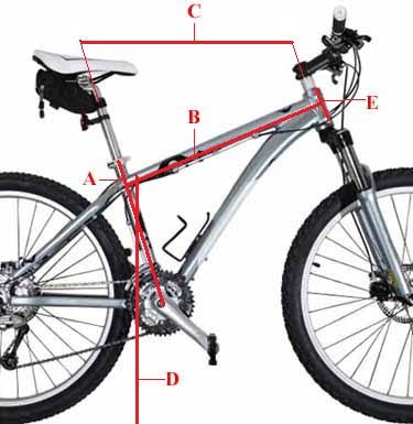Custom Fit Bike / Bicicleta a la medida